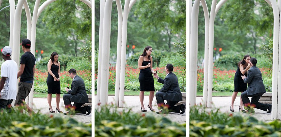 Chicago Proposal Photo the Drake