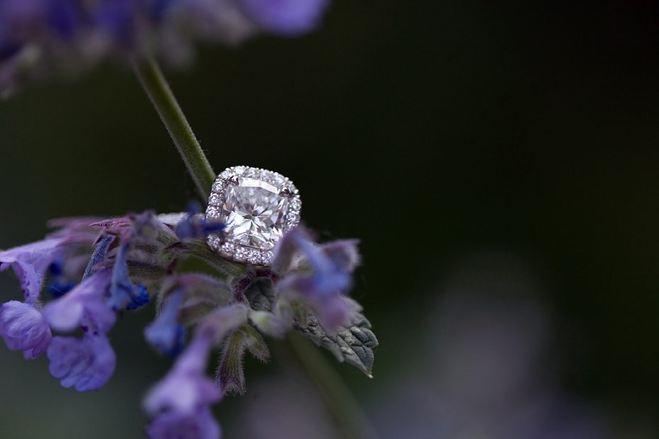 Chicago-Proposal-Photographer-Beautiful-Ring